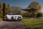 Lexus UX250h F-Sport Engawa 2019 года (ES)